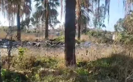 الجيش يفجر صواعق وقذائف قديمة العهد في بؤرة مهجورة على طريق الميناء - طرابلس