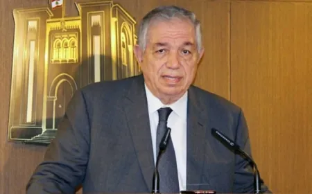 الجسر عضواً في لجنة حماية الدستور و مستشار لرئيس الجمهورية