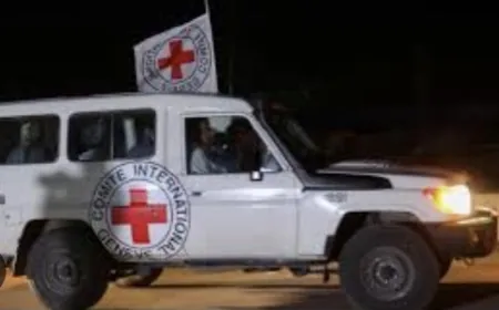 الجيش الإسرائيلي يعلن وصول الأسرى المفرج عنهم إلى إسرائيل