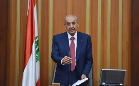 الرئيس بري يلتقي في هذه الأثناء في عين التينة وزير الخارجية المصري بدر عبد العاطي والوفد المرافق