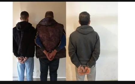 توقيف مطلوبين بجرائم تأليف عصابة وسرقة واحتيال