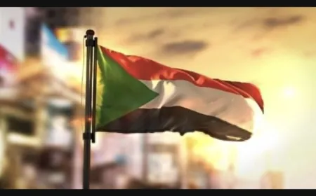 40 قتيلا بقصف لقوات الدعم السريع لسوق في السودان