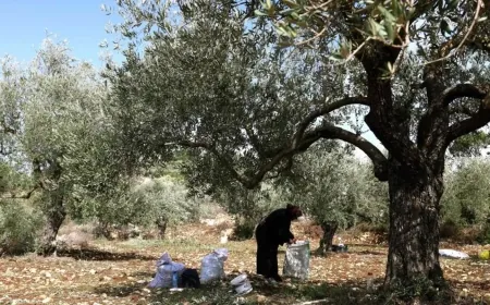 تحذير جديد من الجيش الإسرائيلي لسكان جنوب لبنان