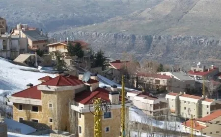 جريمة في فاريا.. والجاني: "ليتعلّم ما يكسر عليّ"..