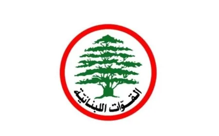 "القوات اللبنانية": نريد تمثيلًا عادلاً في حكومة إصلاحية وسيادية