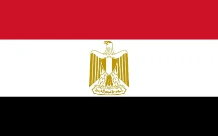 مصر: نرفض أي وجود عسكري دائم بالبحر الأحمر لغير دوله
