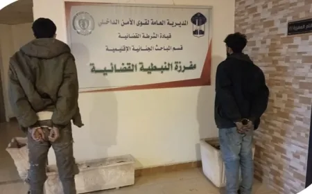 يسرقان منزلًا في بلدة أرنون النبطية، ومفرزة النبطية القضائية توقفهما بالجرم المشهود