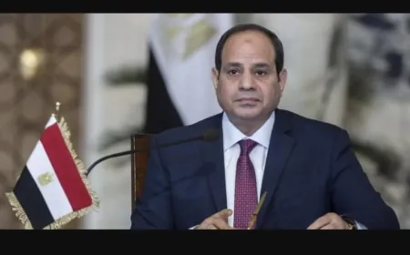 السيسي يؤكد أهمية تثبيت وقف إطلاق النار في غزة