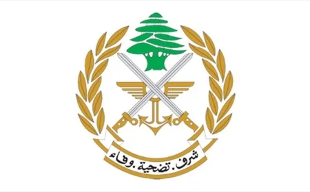 الجيش: تفجير ذخائر في منطقة وادي خالد