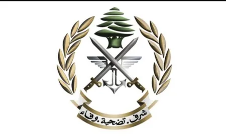 الجيش: تفجير ذخائر غير منفجرة في منطقة الناعمة