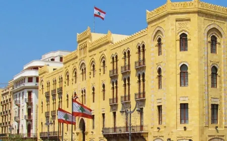 توضيح من بلدية بيروت حول جريمة تسميم الكلاب الشاردة في المدينة