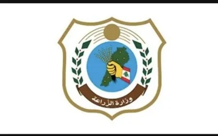 وزارة الزراعة: اعتداء إسرائيلي جديد على الثروة الحرجية والنباتية في بلدة حولا