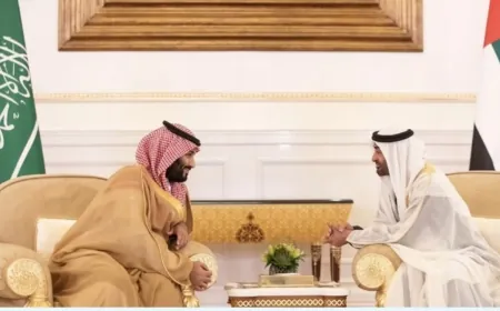 الرئيس الإماراتي وولي العهد السعودي يبحثان الأوضاع الإقليمية