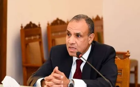 وزير الخارجية المصري أكد أهمية تولي السلطة الفلسطينية مهامها في قطاع غزة