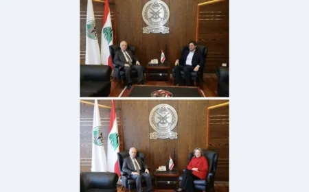 وزير الدفاع عرض للتطورات مع وزير الإعلام والنائبة أيوب