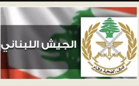 الجيش إستكمل عملية رفع الركام وفتح الطرق في عيتا الشعب وسحب بالتنسيق مع "اليونيفيل" سيارات مدنية وإسعاف من مارون الراس