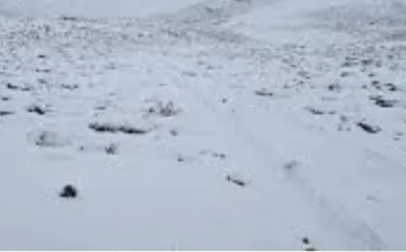 الثلوج تغطي مرتفعات الضنية فوق الـ1300 متر