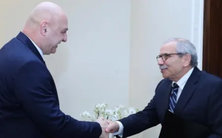 وصول نواف سلام إلى قصر بعبدا
