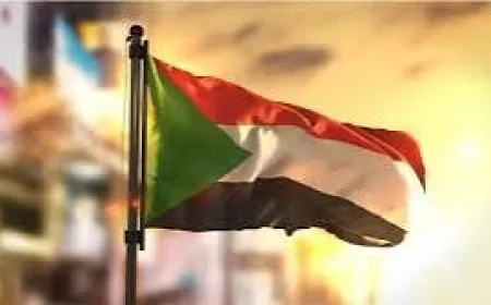 ا.ف. ب نقلا عن مصدر عسكري:الجيش السوداني يتقدم باتجاه وسط الخرطوم