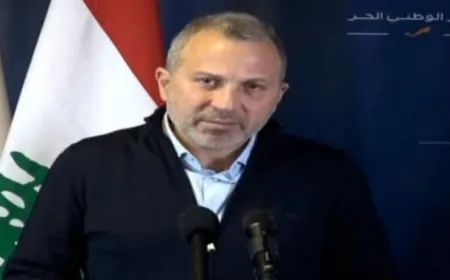 باسيل: نناشد الرئيس المكلف تصحيح المسار