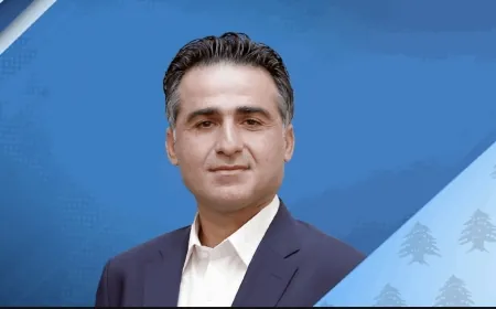 حمية بعد لقائه بري: أطلعته على العمل الذي أقوم به منذ اليوم الاول لوقف إطلاق النار