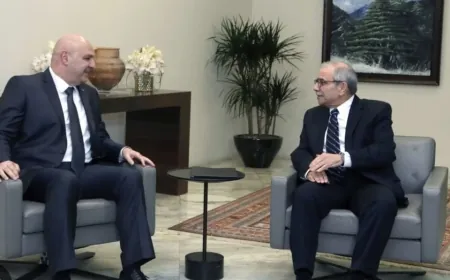 اللقاء بين عون وسلام تضمّن محاولة على اتفاق على الاسم الشيعيّ الخامس وهو ناصر السعيدي لكنّ الأخير اعتذر عن عدم دخول الحكومة إذ إنّه كان يحبّذ استلام حقيبة ضمن اختصاصه والبحث يجري على اسم آخر