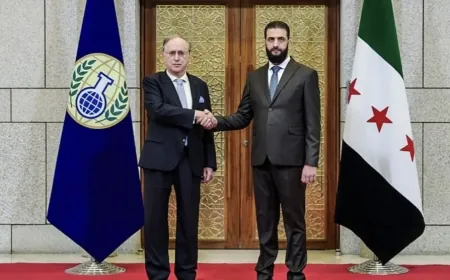 رئيس المنظمة الدولية لحظر الأسلحة الكيميائية سيلتقي الرئيس السوري الانتقالي