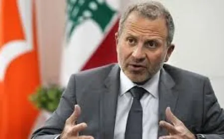 باسيل: نقف لما نؤمن به ولو وقفنا وحيدين