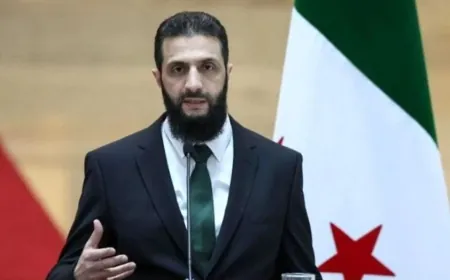 الشرع يلتقي وفدا من منظمة حظر الأسلحة الكيميائية ووزير الشؤون الخارجية الجزائري