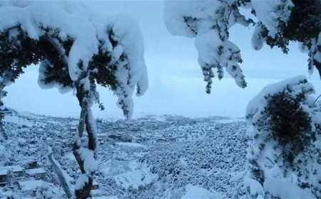 أمطار وثلوج... إليكم تفاصيل الطقس البارد!