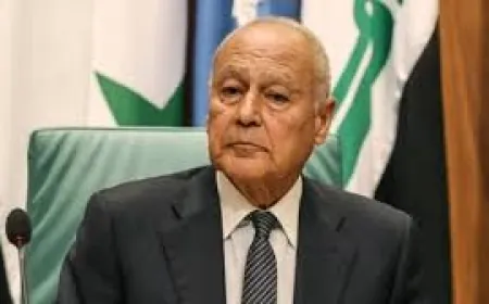 ابو الغيط: الدولة الفلسطينية لن تقوم الا على ارض فلسطين المحتلة