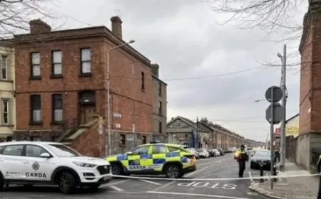 الشرطة الإيرلندية اعتقلت شخصا بعد عمليات طعن في دبلن