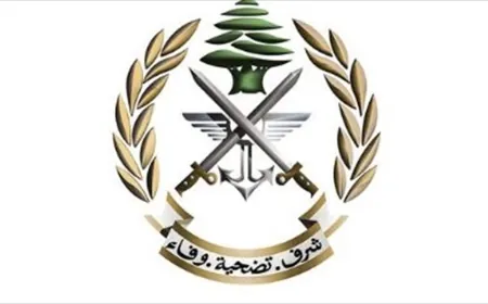توقيف 40 شخصًا في منطقتَي دير عمار – الشمال وحي السلم – الضاحية الجنوبية