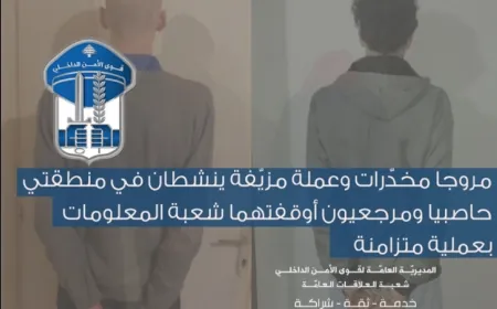 مروجا مخدّرات وعملة مزيّفة ينشطان في منطقتي حاصبيا ومرجعيون أوقفتهما شعبة المعلومات بعملية متزامنة