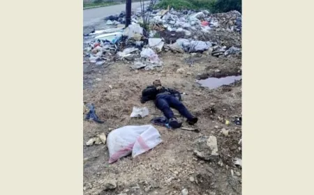 العثورعلى جثة رجل سوري في سينيق جنوبي صيدا