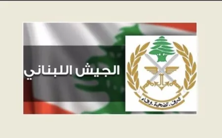 الجيش: تفجير ذخائر غيرمنفجرة في القليعات