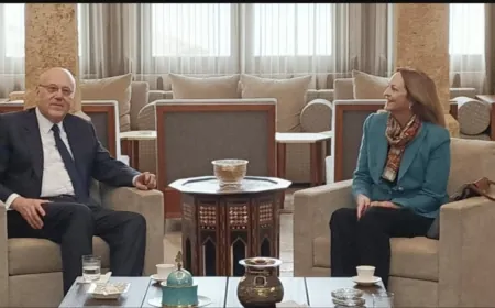 ميقاتي استقبل جونسون