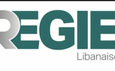 "الريجي" ضبطت منتجات مزوّرة ومهرّبة في الضاحية الجنوبية