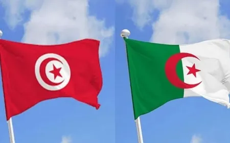 الجزائر - تونس... مرسوم رئاسي يُقر بتسليم المجرمين بين البلدين