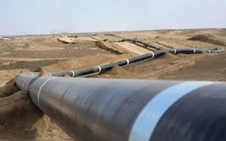 تسريع إنجاز مشروع أنبوب الغاز العابر "للصحراء"