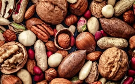 الجوز أم اللوز: أيهما أفضل لتقوية الذاكرة ولماذا؟