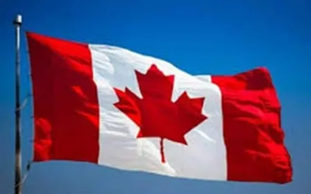 الحكومة الكندية عيّنت مسؤولا لمكافحة مخدّر الفنتانيل