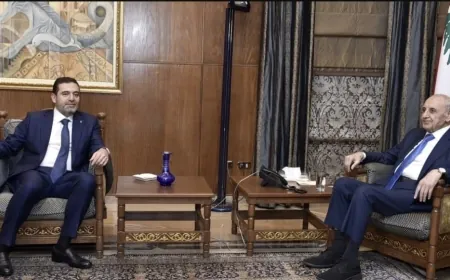 بري عرض مع الحريري المستجدات السياسية والميدانية