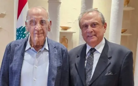 حبيب يزور بري للشكر وإطلاعه على نتائج زيارته الدوحة