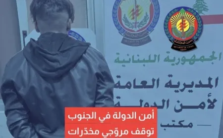 أمن الدولة في الجنوب توقف مروّجي مخدّرات