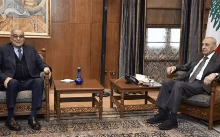 بري تسلم دعوة للمشاركة في مراسم تشييع الشهيدين السيد نصر الله والسيد صفي الدين