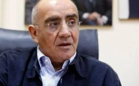 فارس سعيد: متفائل بمستقبل لبنان.. والتظاهر حق لكن إقفال طريق المطار اختبار للعهد