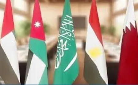 قمة خماسية عربية تُعقد في الرياض في 20 شباط للرد على خطة ترامب بشأن قطاع غزة (أ.ف.ب)