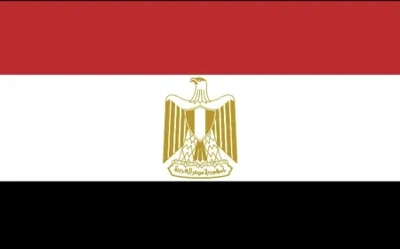 مصر تبلور موقفا يضمن "بقاء الفلسطينيين على أرضهم"