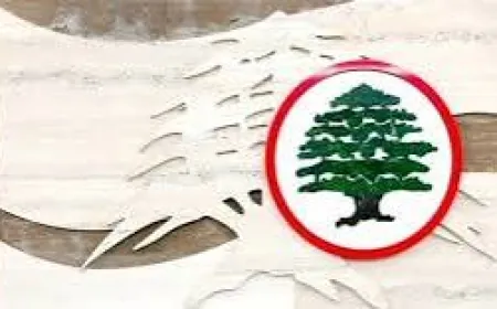 الدائرة الإعلامية القوات : لبنان ليس مستعمرة